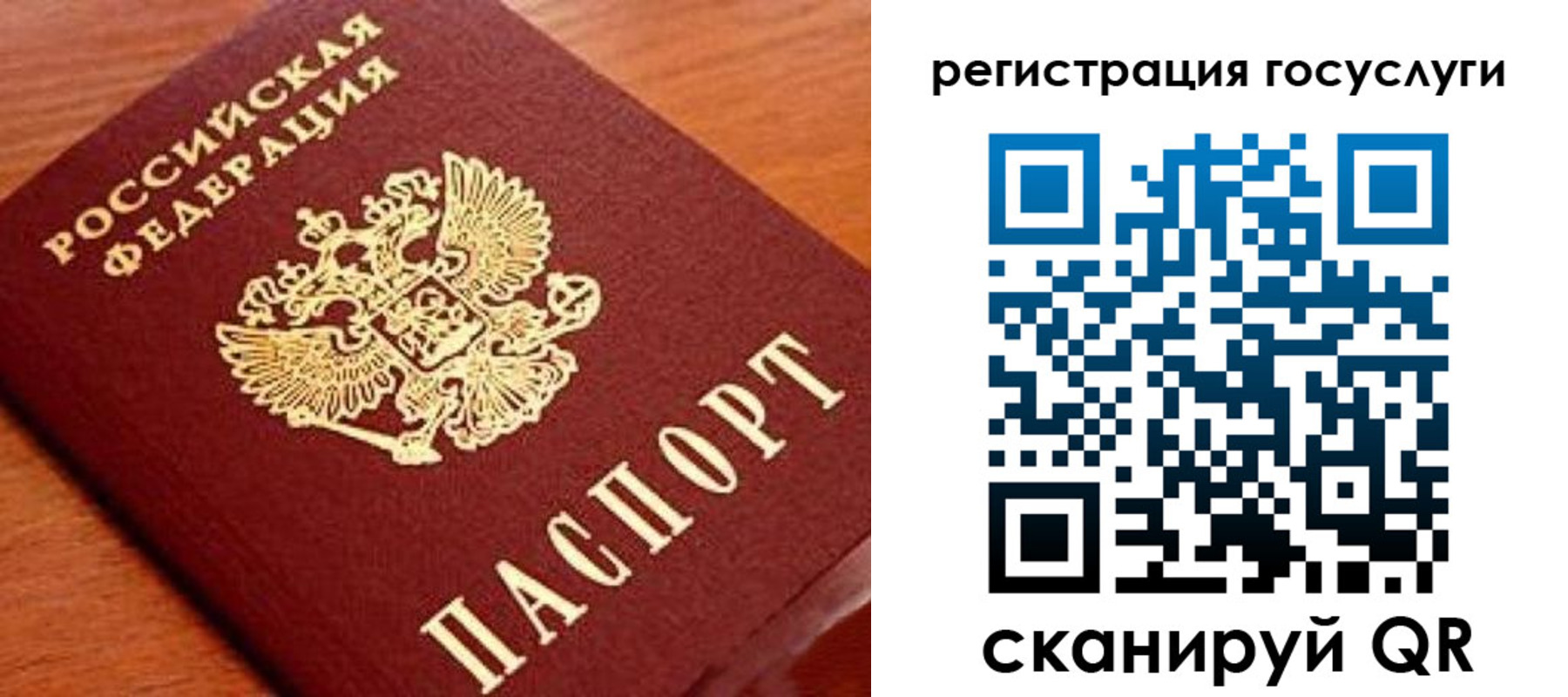 прописка иностранных граждан в Зеленоградске